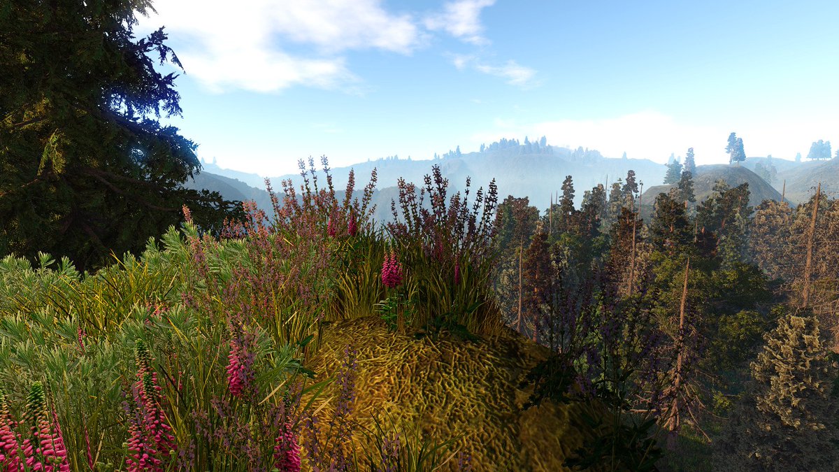 jimmikaelkael's tweet photo. Beautified Sunny Mountains #madewithgaia #SpeedTree #Unity3D #AssetStore #screenshotsaturday https://t.co/LoVaSXmPDf https://t.co/84CMymgYz3