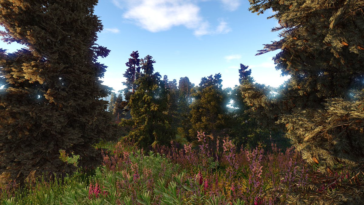 jimmikaelkael's tweet photo. Beautified Sunny Mountains #madewithgaia #SpeedTree #Unity3D #AssetStore #screenshotsaturday https://t.co/LoVaSXmPDf https://t.co/84CMymgYz3