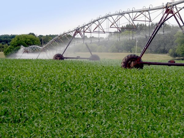 Feliz Día del Ingeniero Agrónomo, especialmente a los profesionales que forman parte de la comunidad uclaista