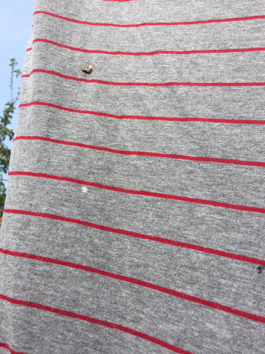 ts11tt's tweet photo. Only problem with drying your clothes on the line is the risk of birds shitting on them. Happened twice already. 😡😡 https://t.co/PwpZOBP3Fx