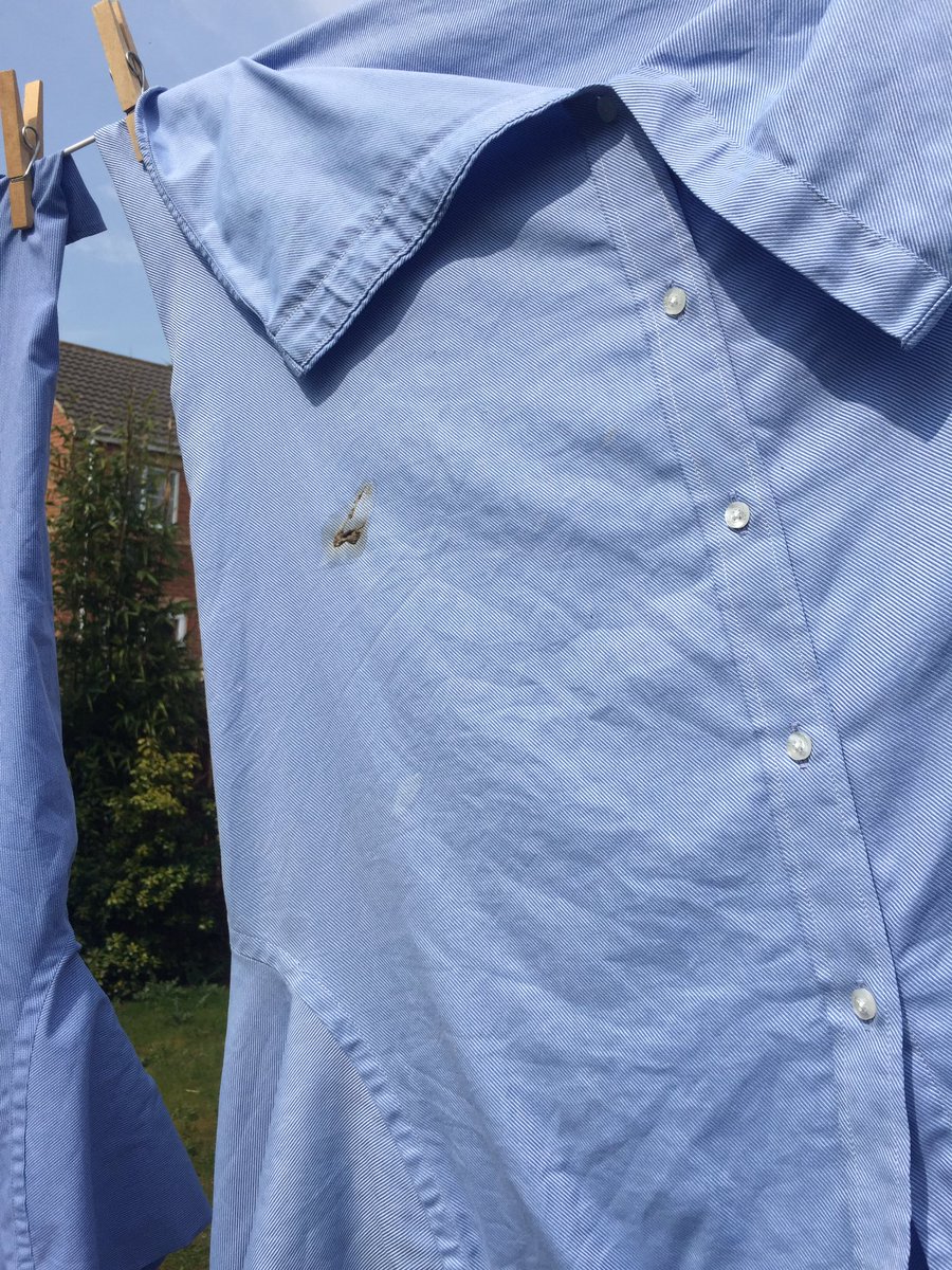 ts11tt's tweet photo. Only problem with drying your clothes on the line is the risk of birds shitting on them. Happened twice already. 😡😡 https://t.co/PwpZOBP3Fx