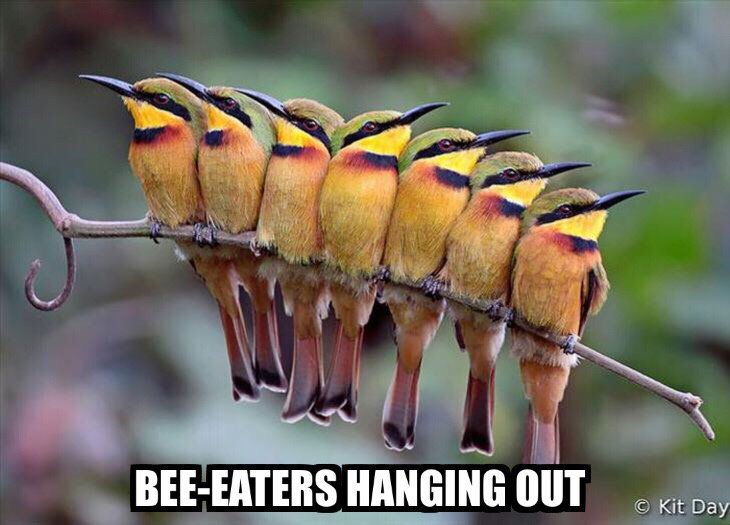 DavidNathanSKL's tweet photo. via ZomboDroid's Meme Generator https://t.co/99ZmXcPuYx