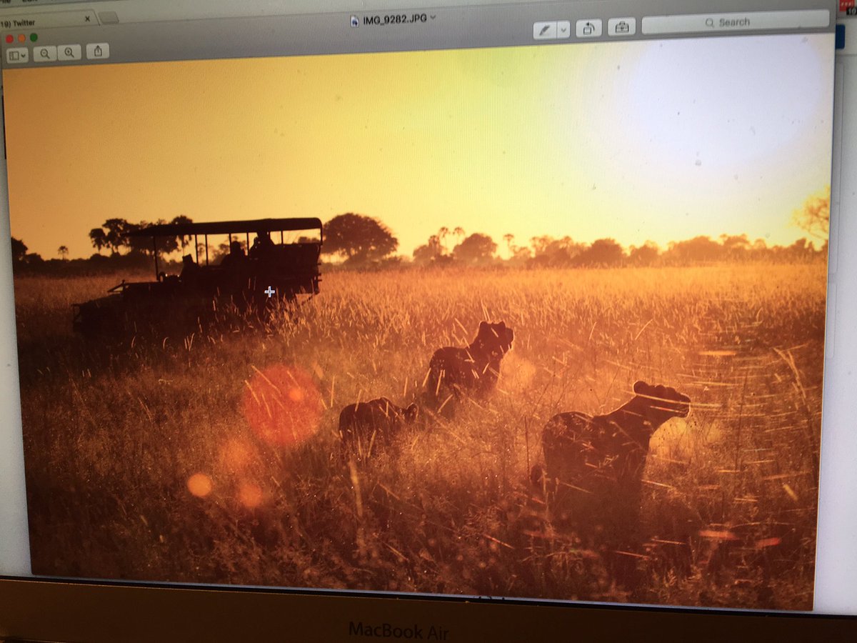 reidbader's tweet photo. Finishing up an amazing journey in Southern Africa. Follow the return on snapchat username reidbader https://t.co/AsRwV2dILN