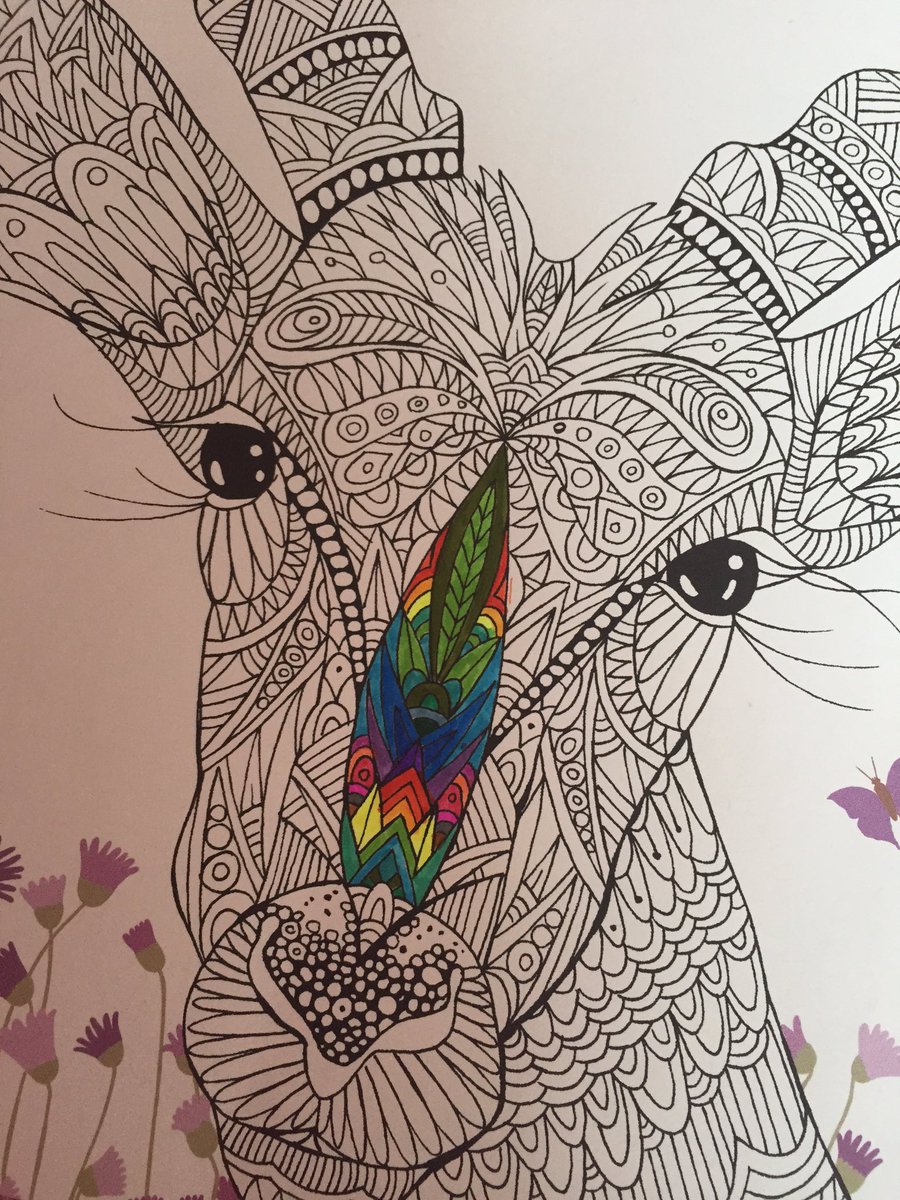 ellexpowellx's tweet photo. Colouring 😻❤️ https://t.co/6cOdMtN8nA