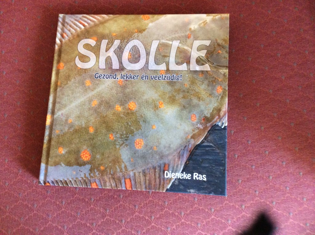 'Skolle'. Een lekker kookboek van Dieneke Ras-ter Beek. Maar liefst 60 scholrecepten!! Te koop op de Bonisa Zending.