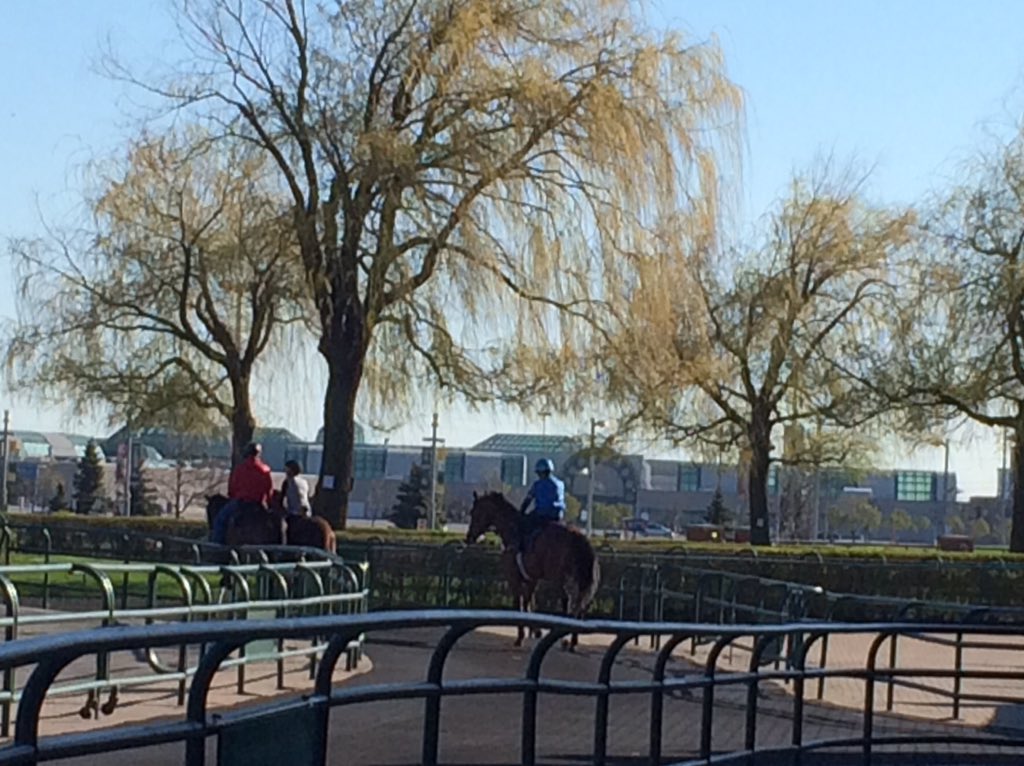 jbuckleyON's tweet photo. Willows are set to bloom. #walkingring #morningschool @WoodbineRacing https://t.co/Q0XOaFJmW6