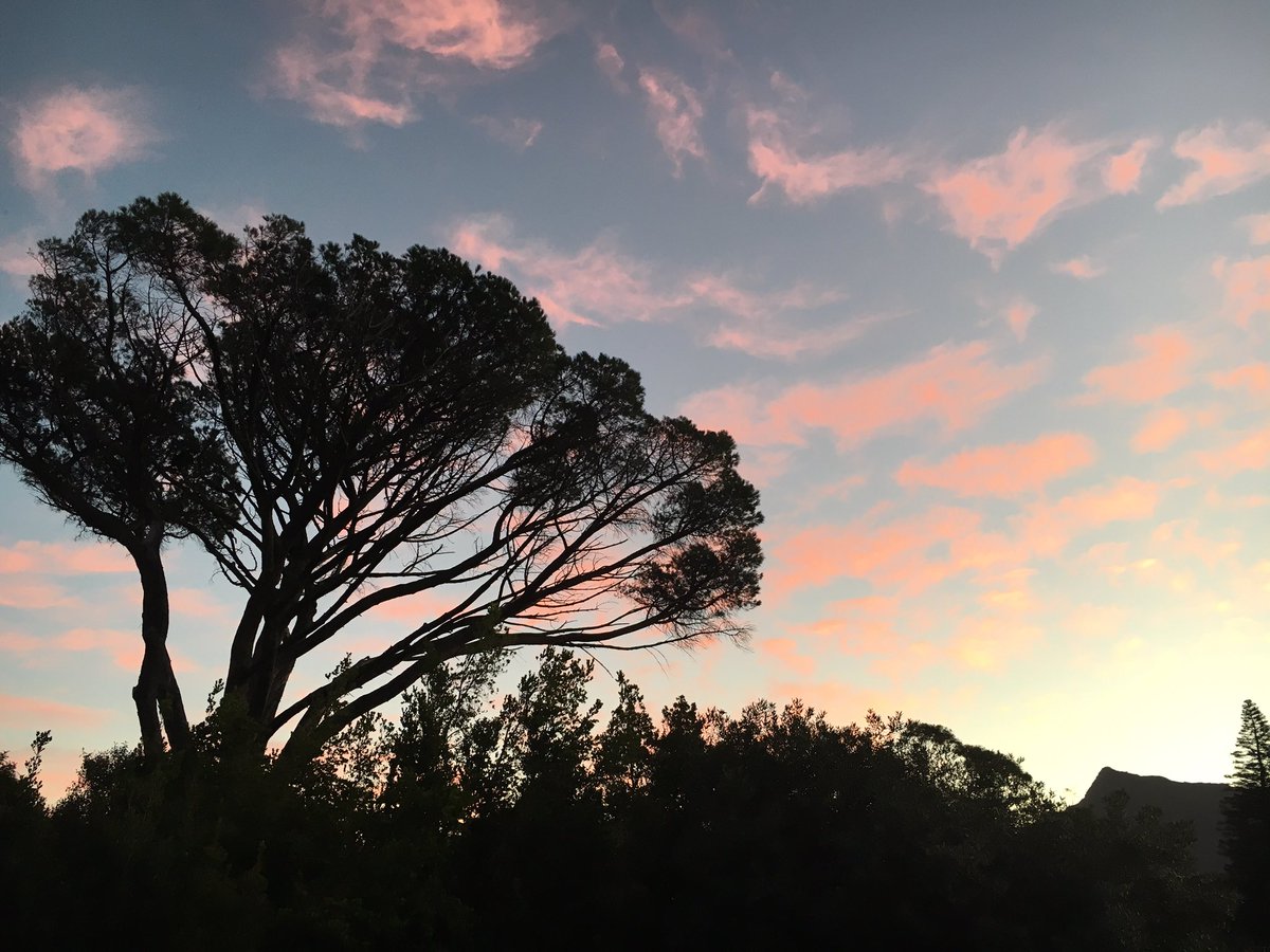 TravStedman's tweet photo. This is where I live. #blessed #nofilter https://t.co/0J5QCBruXf