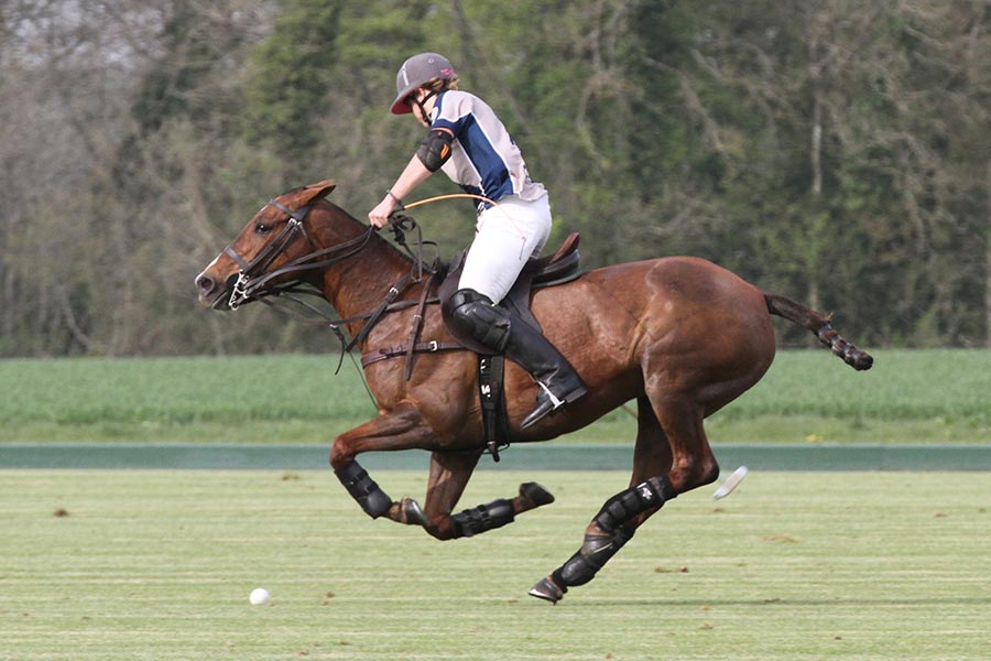 PoloLine (@pololine) on Twitter photo Picture of the day: <a href="/tommysevern77/">Tommy Severn</a> <a href="/polobeaufort/">Beaufort Polo Club</a> team @ 0-40 goals Semis <a href="/CirencesterPolo/">Cirencester Polo.</a> Picture of the day: <a href="/tommysevern77/">Tommy Severn</a> <a href="/polobeaufort/">Beaufort Polo Club</a> team @ 0-40 goals Semis <a href="/CirencesterPolo/">Cirencester Polo.</a>