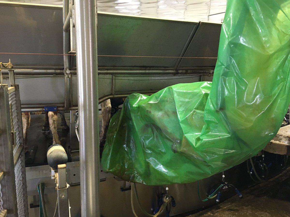 PauldeRond's tweet photo. GEA teat spray robot on a 80 stand parlour #laboursaving #everytimethesame https://t.co/yvCmE6Ay7O