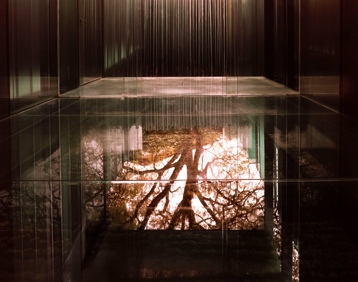 Les Cols Pavellons tweet media