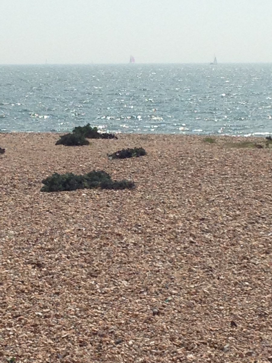 ROODvintage tweet media