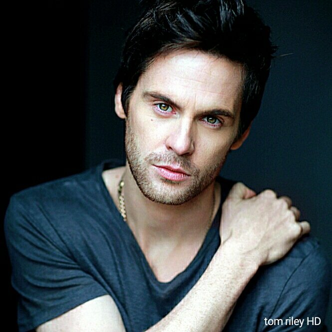 TomRileyHD's tweet photo. Tom is discovering you pal! You need to discover him too! What you can see? #TomRiley https://t.co/oc0goXfyZC