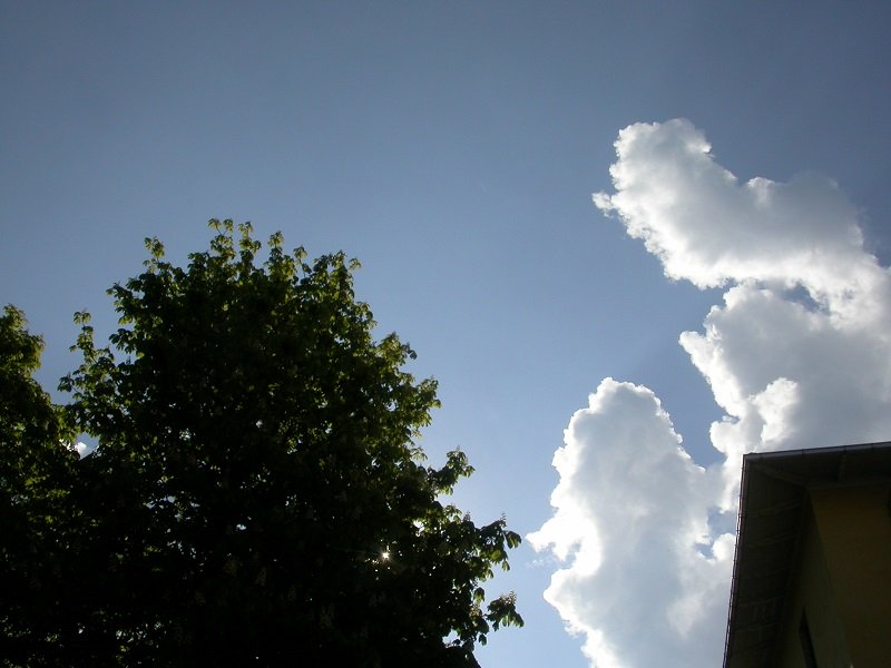 Domani 8 maggio "Il prugnolo in festa" #Berceto
bercetocomunitaospitale.it/eventi?idN=151…