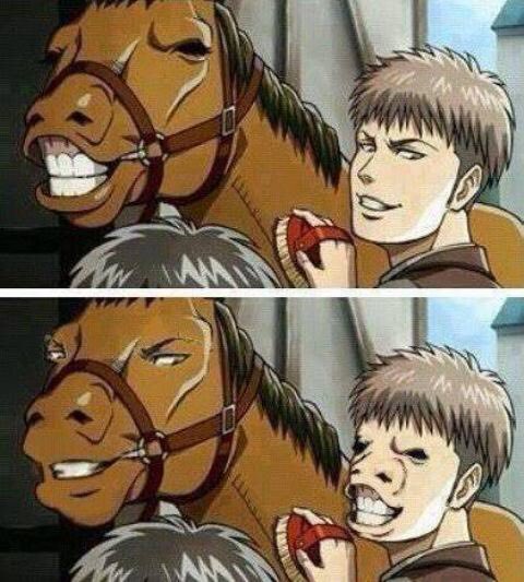 Jean swapped faces with his brother😜 #HorseFace