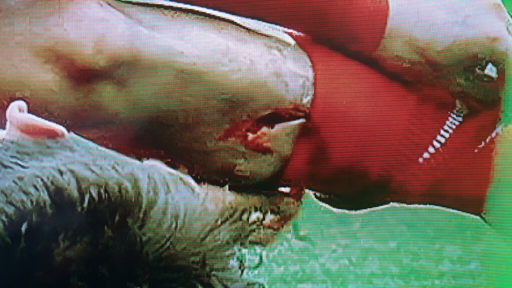 EPL Bible tweet media