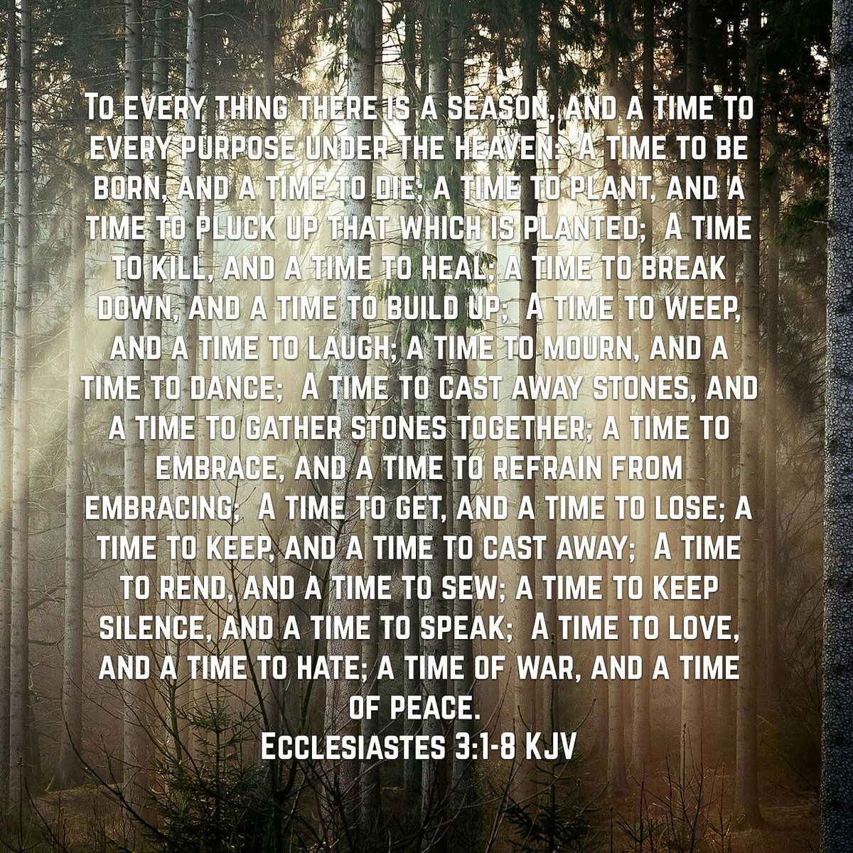 Rafael_MunozJR's tweet image. #knowledgeispower #wisdom #timeforeverything #believe #faith