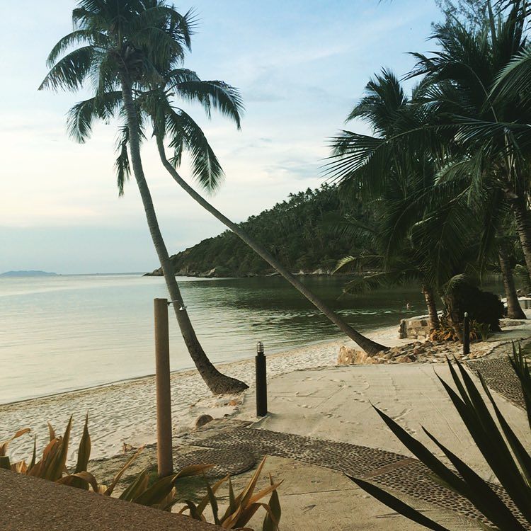 MDuignam's tweet photo. #thailand #kohphangan #chilledvibes https://t.co/sBqYzmayHz