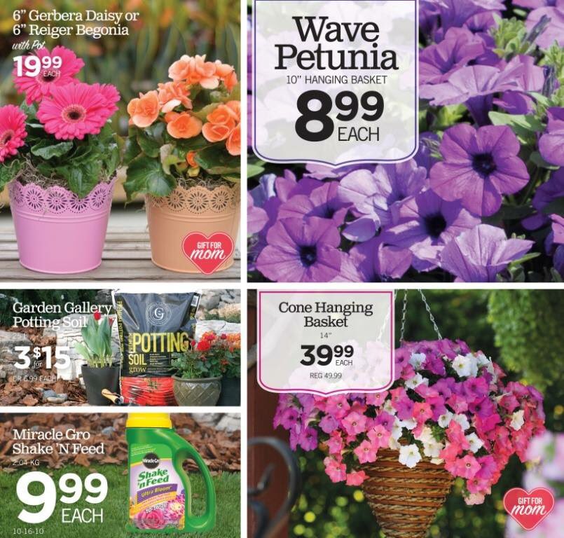 CozynsGG's tweet photo. Flyer 8. Great gifts for mom. #MothersDay #gardengallery https://t.co/1gTsh19HTI