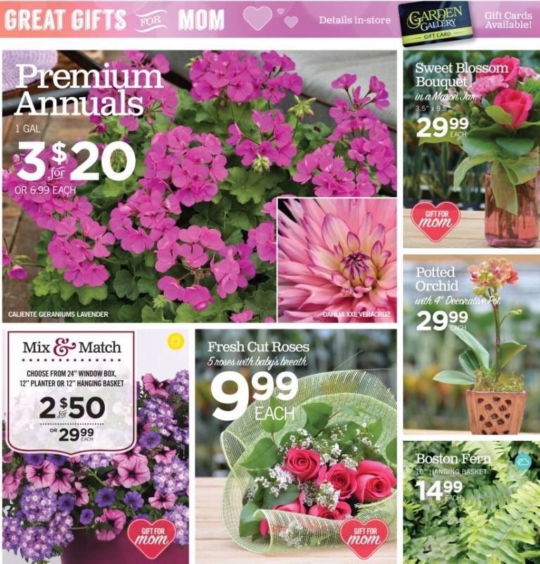 CozynsGG's tweet photo. Flyer 8. Great gifts for mom. #MothersDay #gardengallery https://t.co/1gTsh19HTI