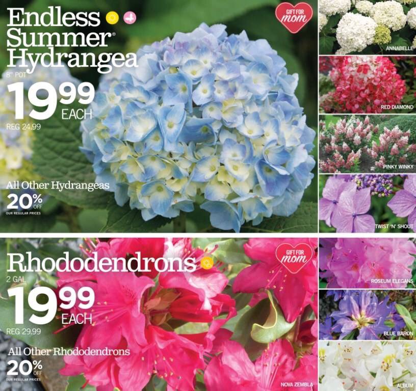 CozynsGG's tweet photo. Flyer 8. Great gifts for mom. #MothersDay #gardengallery https://t.co/rbN1oQQvHr