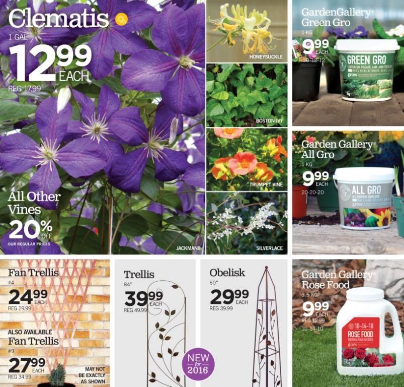 CozynsGG's tweet photo. Flyer 8. Great gifts for mom. #MothersDay #gardengallery https://t.co/rbN1oQQvHr