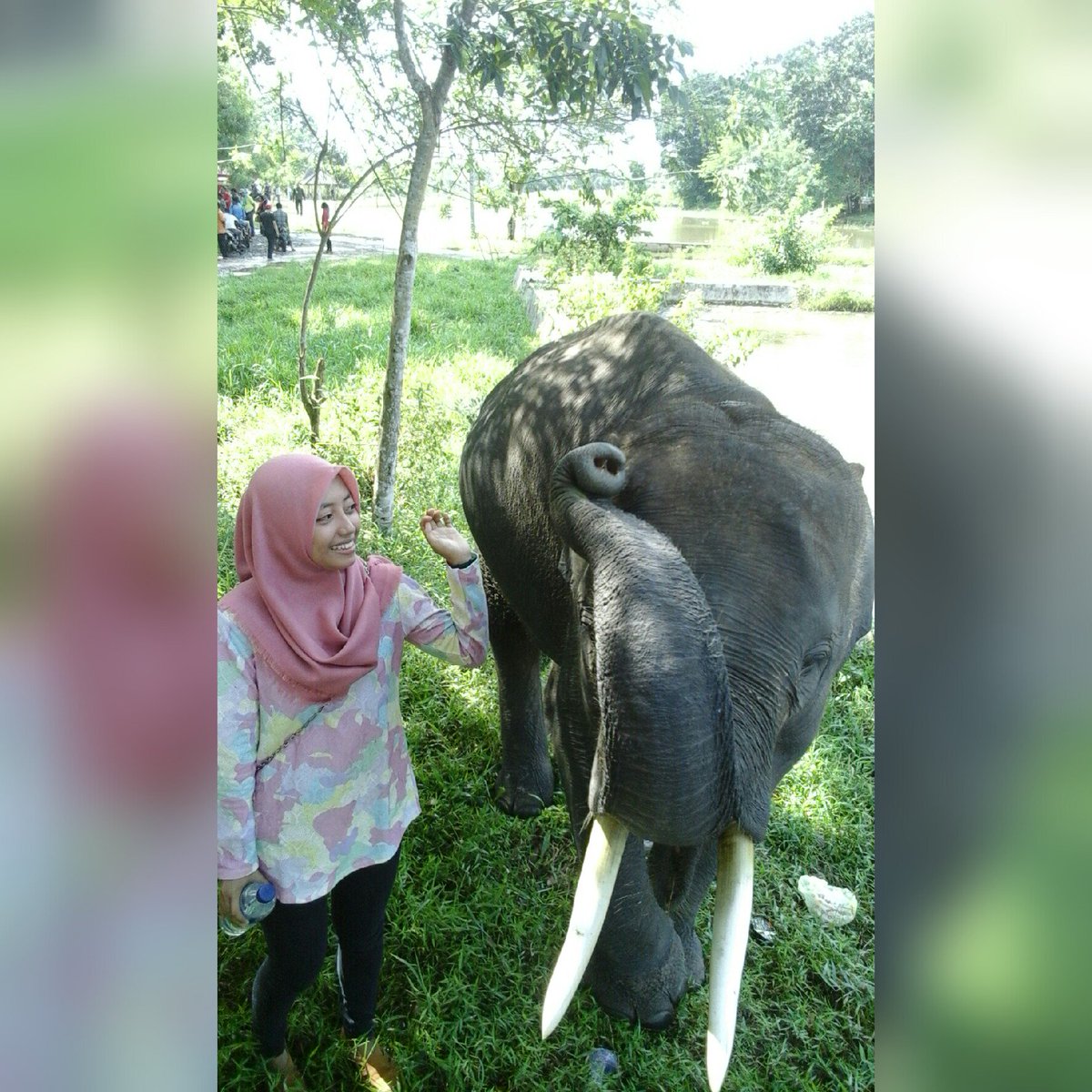 VR_sbrna's tweet photo. Taman Nasional Way Kambas ;;)
With joni😂😂 https://t.co/1yWi0fxwUZ