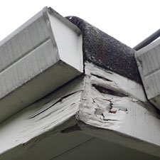 When was the last time you checked the eaves of your #roof?
