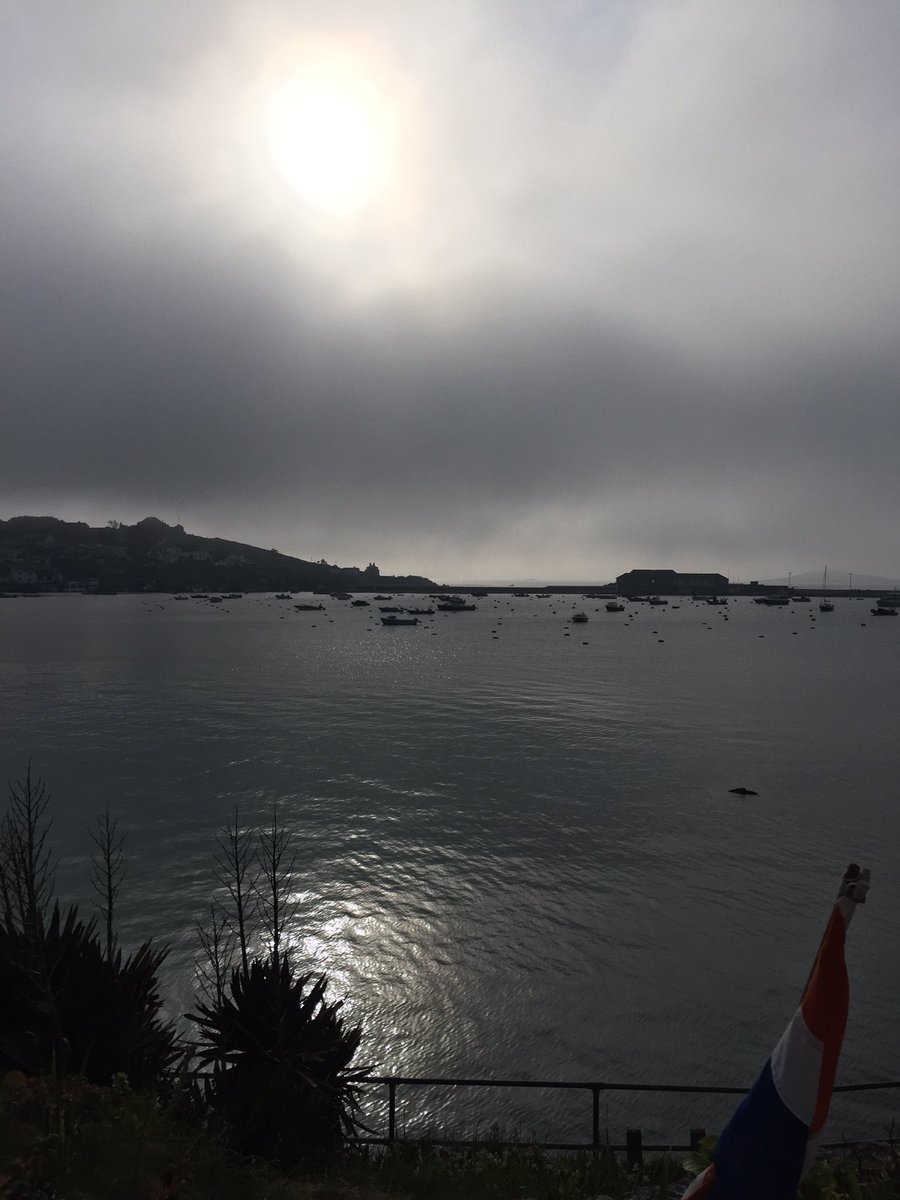 The mist has mostly cleared after a not very nice day. The sun's breaking through, the harbour is still and full.