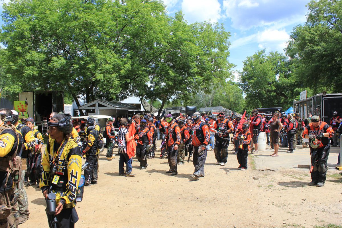 Tippmann tweet media