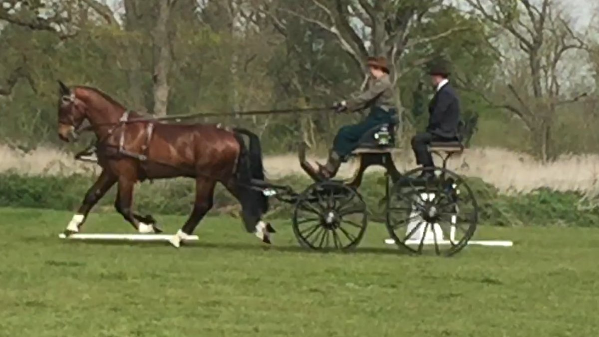 LibbyPriest's tweet photo. Great first advanced dressage test at Catton HDT. # Startoftheseason! @iomsteampacket  @michaelsloan13 https://t.co/sRN66vJJZN
