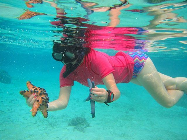 starfishstuff's tweet photo. Never ask a starfish for directions 😂 #freediveindonesia #starfish #patrickstar #explorein… https://t.co/73Y3EiAdfh https://t.co/VXK7qLs8mb