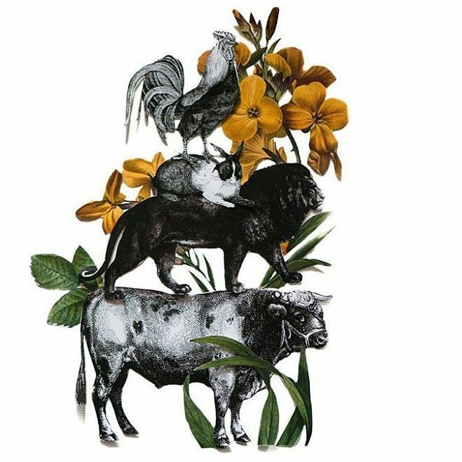 CollageArchive's tweet photo. By @auroracaher
See more in https://t.co/yr1iaReDQE
#losdiascontados #diacolas #collageoftheday #collageart #coll… https://t.co/lcP13JJXIc