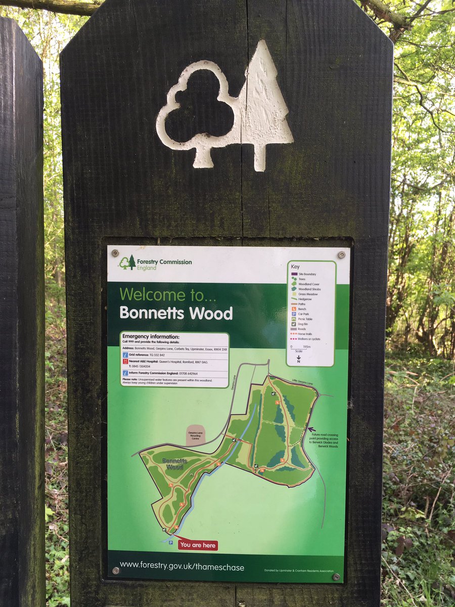 MyUpminster's tweet photo. @MyUpminster https://t.co/rZKMaAcA9c