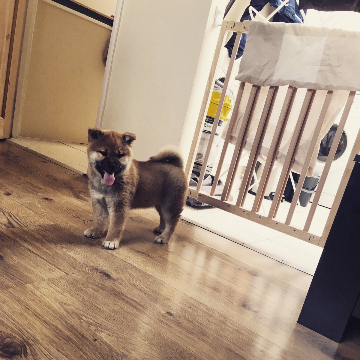 TrunkTop's tweet image. My man!