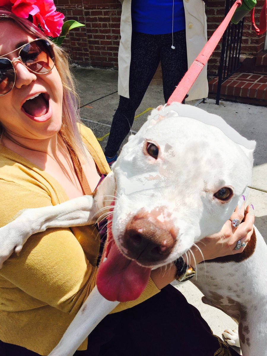 Ladies man enjoying the sunshine and #southstfest