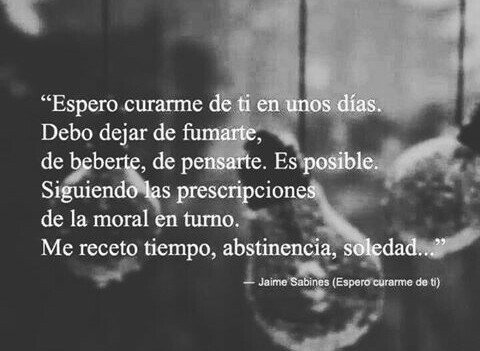 Ulises Arellano S. (@lukas261100) on Twitter photo 