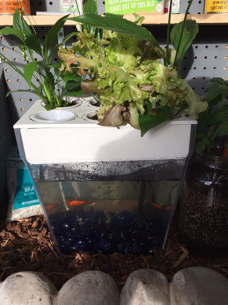 Imperial Beach HD tweet media