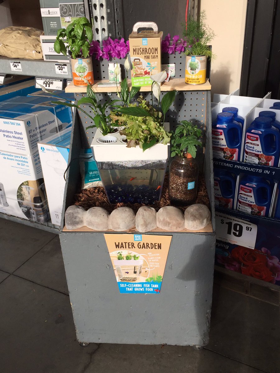 Imperial Beach HD tweet media