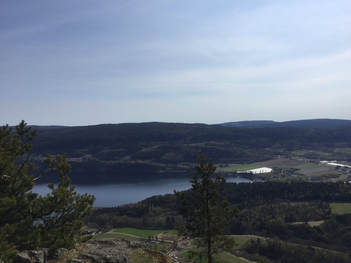 graadahl's tweet photo. Hørtekollen in Sylling, Lier, Norway https://t.co/p0FzHBTRSd