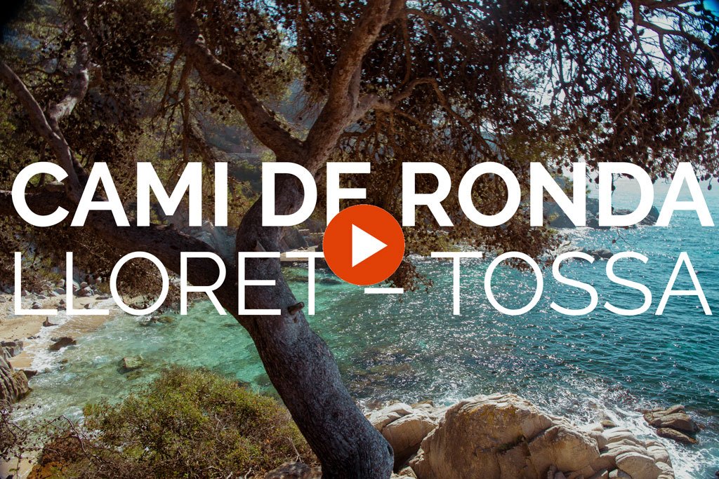 costabrava's tweet photo. RT @equipatgedema: el primer vídeo! Un resum del Camí de Ronda de Lloret a Tossa de Mar https://t.co/ii4IdXHpeg… https://t.co/lgXBO5QTnn