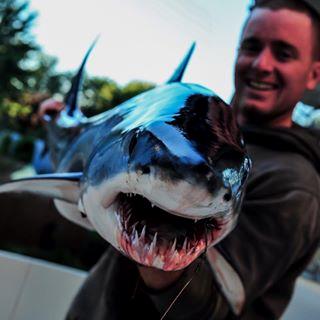 MythicFishing's tweet photo. Amazing picture, amazing animal! #fishing #fishingofinstagram #hooked https://t.co/zCQ3GAf7Ds