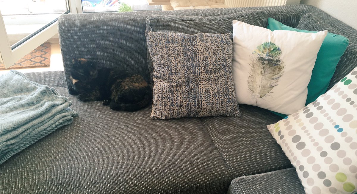 Hey...ich bin kein Kissen. Ich bin eine Katze!