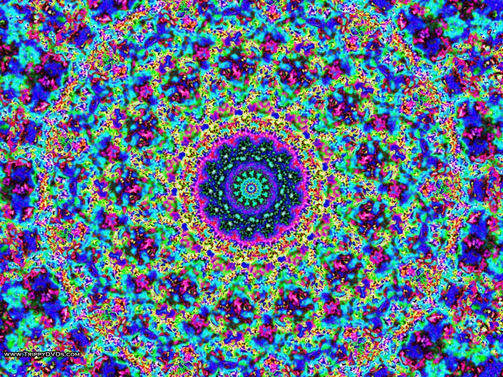 Trippydvds Trippydvds Twitter