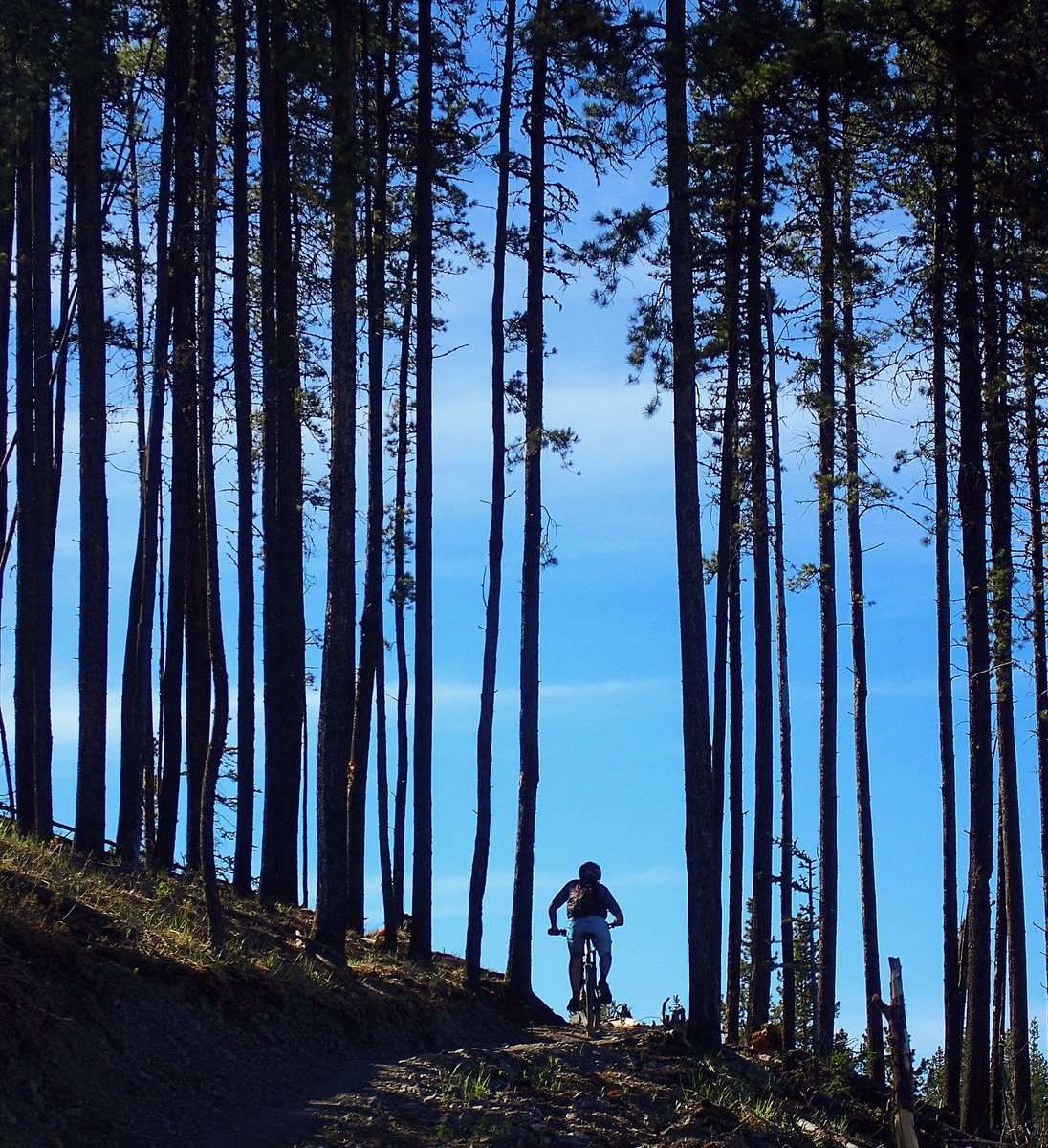 tcdixon3's tweet photo. Ascending Snakes &amp; Ladders after all the fun! #ABparks #ABparksAmbassador #MTB #biking #gotparks #Kananaskis #yyc https://t.co/JOVr0LXKiQ