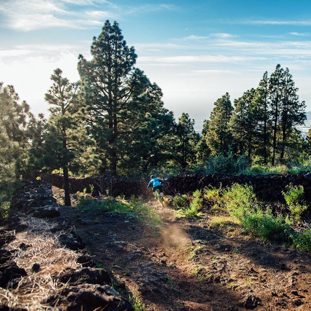 theZimbros's tweet photo. Going down the infamous #kilometer5 trail on the island of #lapalma. 
#canaries #laislabon… https://t.co/R2OxkSbax8 https://t.co/2kasZ7nL0k