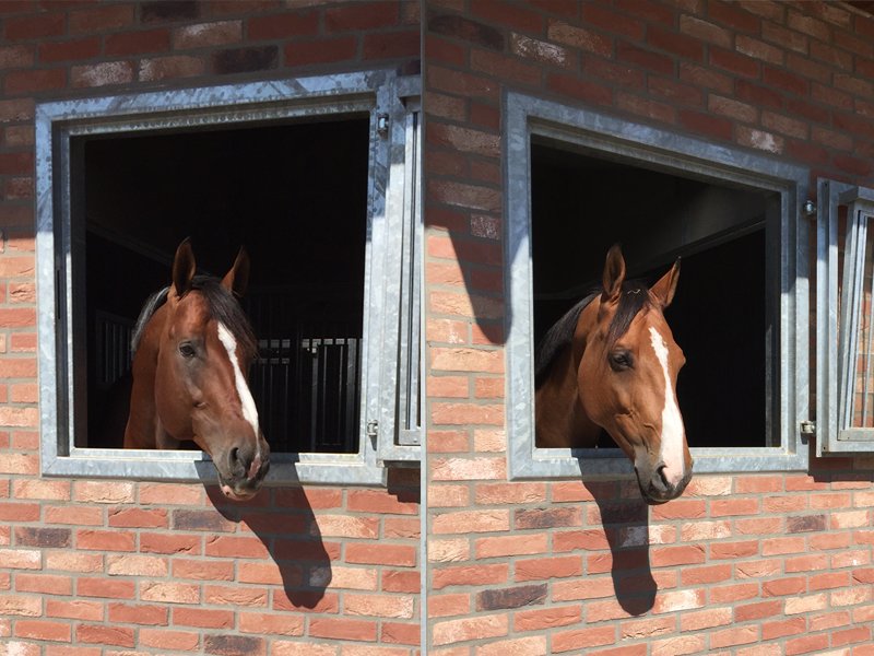 Royce and Abunola enjoying some sunshine in Holland #TeamElmRock #TeamUSA #RoadToRio