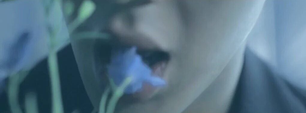 yookihyuns_'s tweet photo. Shownu ate too much flowers til he became one https://t.co/DVmqmu20SA