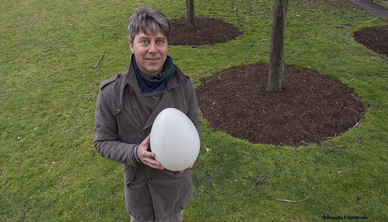 Capsula Mundi for ashes is ready! Now a #crowdfunding for the big pod #GreenBurial #beatree bit.ly/1T0vpNQ