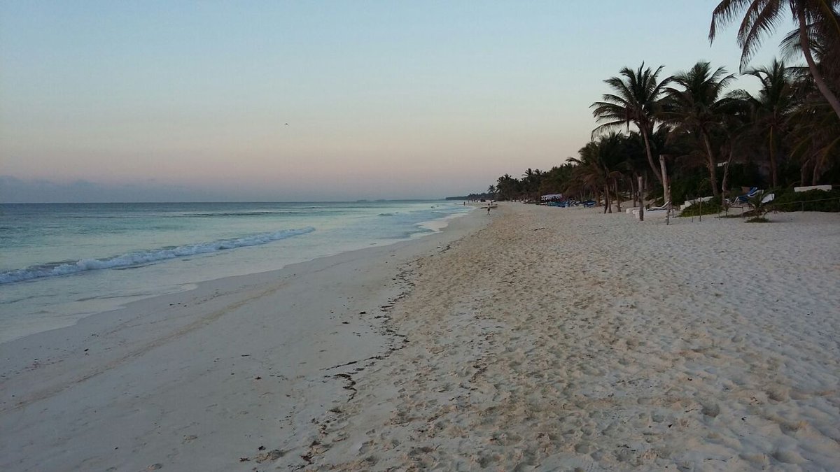 ZiggysTulum's tweet photo. Good morning from Tulum
#ziggystulum #tulumbeach https://t.co/JALCCvzcjN