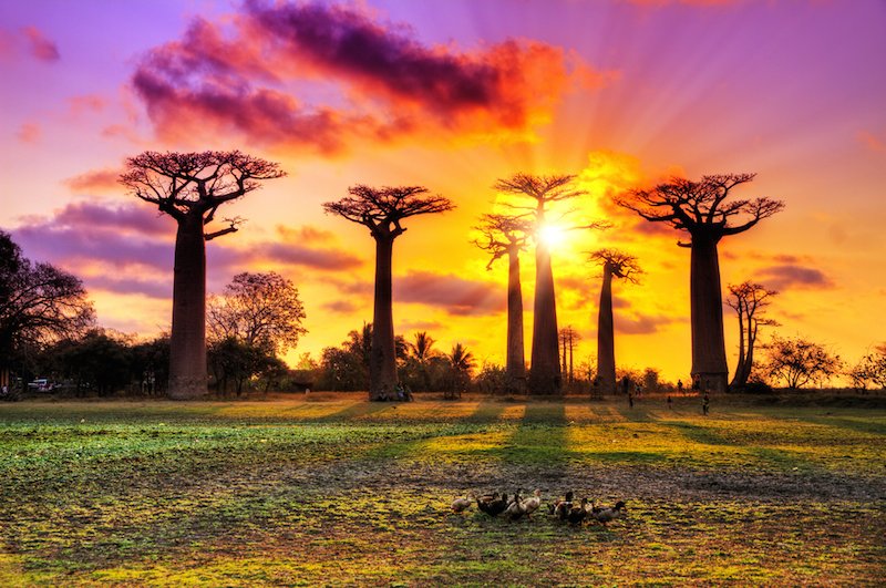 SnowhawkNL's tweet photo. 10 #FairyTaleLandscapes You Won’t Believe Are R https://t.co/jYr1Tu3fmS #TravelNews #TravelTips #wanderlust https://t.co/paP1tkccQH